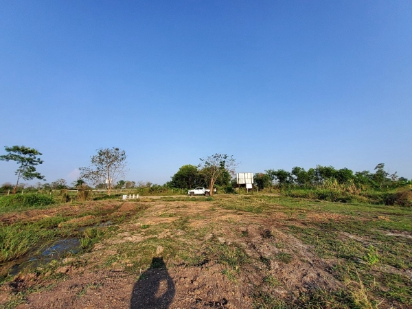 ขายถูก ที่ดินคลอง 13 ใกล้วัดพิชิตปิตยาราม 8 ไร่ หน้ากว้าง 139 ม./แนวถนนกว้าง 8 ม. อ.ธัญบุรี จ.ปทุมธานี