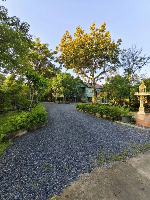 ขายบ้านสวน พร้อมที่ดิน รวม 3 ไร่ บึงกาสาม อ.หนองเสือ จ.ปทุมธานี น้ำไม่ท่วม เจ้าของขายเอง โทร.086-7777215