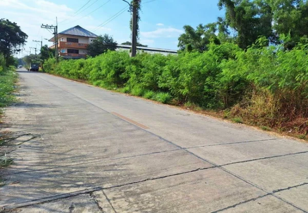 ขายที่ดิน 1 ไร่ คลอง 4 ซอยคลองสี่ตะวันออก 18 อำเภอคลองหลวง ปทุมธานี