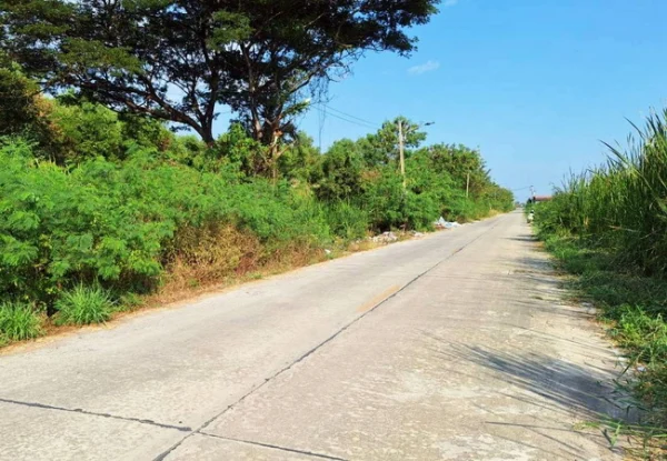 ขายที่ดิน 1 ไร่ คลอง 4 ซอยคลองสี่ตะวันออก 18 อำเภอคลองหลวง ปทุมธานี
