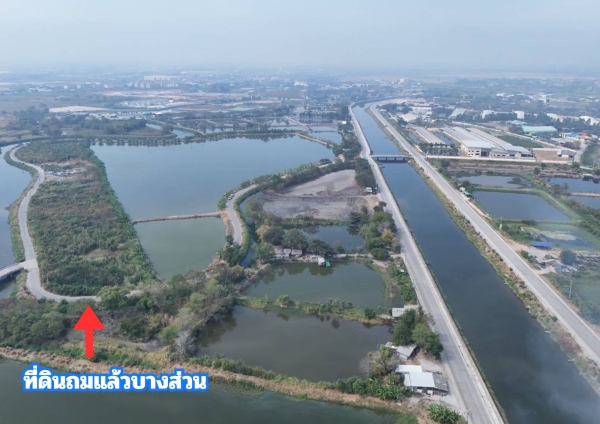 ขายที่สีม่วง 46 ไร่ ใกล้ถนนเลียบมอเตอร์เวย์ สาย 7 ใกล้นิคมอมตะ ชลบุรี  ต.บางนาง อ.พานทอง จ.ชลบุรี