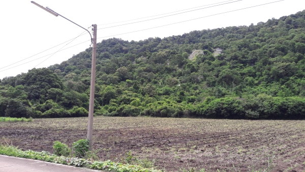 ขายที่ดิน 11.ไร่ 1 งาน 30 ตร.วา หลังติดเขา หน้าติดถนนคอนกรีต 