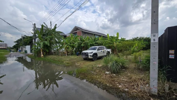 ขายที่ดินพัฒนาการ 191 ตรว ติดถนนลาดยางสาธารณะ ถมแล้ว ซ.พัฒนาการ 96 ประเวศ กทม.