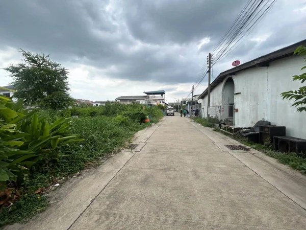 ขายด่วนที่ดินผังม่วง 101 ตรว ติดถนนคอนกรีต ถมแล้ว ซ.นวนทอง 23 กระทุ่มแบน สมุทรสาคร