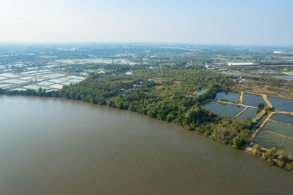 ขายที่ดินถมแล้ว ติดแม่น้ำบางปะกง เนื้อที่ 18 ไร่ 2 งาน 39 ตารางวา ตั้งอยู่ที่ ต.บางกรูด อ.บ้านโพธิ์ จ.ฉะเชิงเทรา