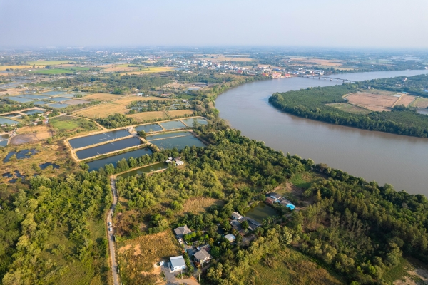 ขายที่ดินถมแล้ว ติดแม่น้ำบางปะกง เนื้อที่ 18 ไร่ 2 งาน 39 ตารางวา ตั้งอยู่ที่ ต.บางกรูด อ.บ้านโพธิ์ จ.ฉะเชิงเทรา