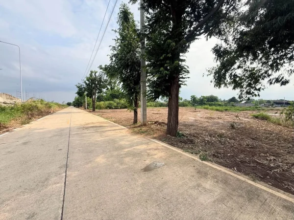 ขายด่วนที่ดิน 5 ไร่ 37 ตรว ติดถนนคอนกรีต ถมแล้ว เลียบทางด่วนอุดรรัถยา สามโคก ปทุมธานี