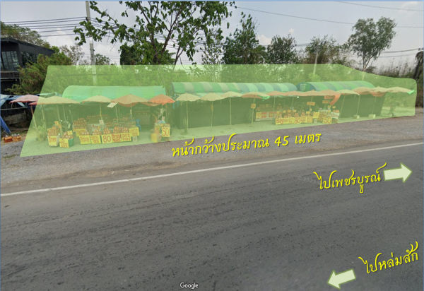 ขายที่ดิน เพชรบูรณ์