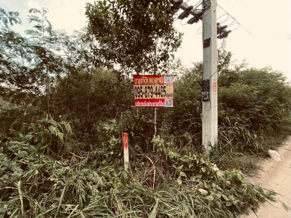 ขายที่ดินใกล้ตลาดไท 833 ตรว ติดถนนคอนกรีตสาธารณะ ซ.เอราวัณ 21 คลองหลวง จ.ปทุมธานี