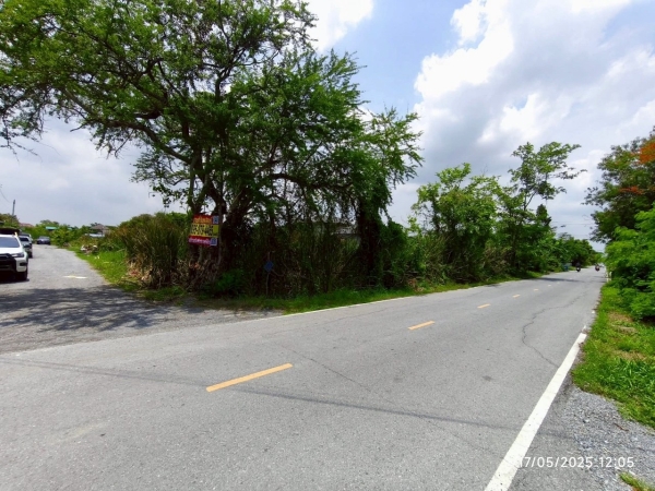 ขายที่ดินคลองโยง 199 ตารางวา แปลงมุม ติดถนนลาดยางสาธารณะซอย หมู่บ้านสมพงษ์ อ.พุทธมณฑล จ.นครปฐม