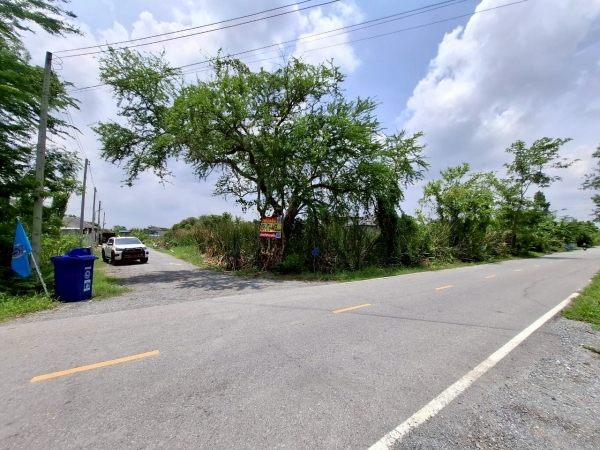 ขายที่ดินคลองโยง 199 ตารางวา แปลงมุม ติดถนนลาดยางสาธารณะซอย หมู่บ้านสมพงษ์ อ.พุทธมณฑล จ.นครปฐม