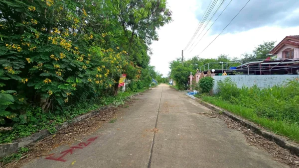 ขายด่วนที่ดินใกล้ตลาดสดมหาชัยเมืองใหม่ 80 ตรว ติดถนนคอนกรีต ถมแล้ว คอกกระบือ เมืองสมุทรสาคร