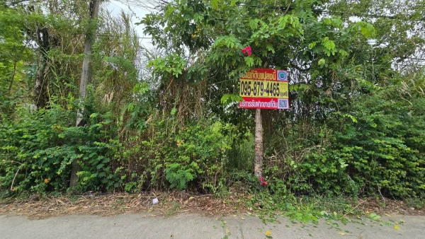 ขายด่วนที่ดินศรีด่าน 100 ตรว ติดถนนคอนกรีตสาธารณะ ซ.พัฒนาชุมชน 29 บางพลี สมุทรปราการ