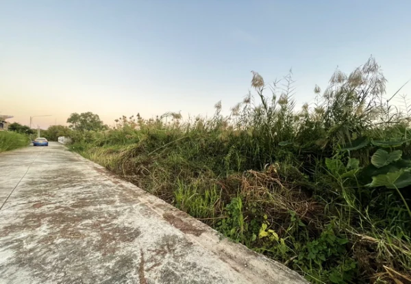 ขายที่ดิน 70 ตร.ว. ซอยโคกช้าง ถนนพิษณุโลก-วังทอง ตำบลอรัญญิก อำเภอเมือง พิษณุโลก