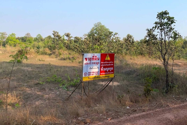 โคตรถูก ช้าหมดอดแน่นอน ที่ดิน อ.พิบูลมังสาหาร จ.อุบลฯ 5 ไร่กว่า ยกแปลงแค่ 8 แสนบาท เฉลี่ยไร่ละแสนนิดๆ) ราคานี้หาไม่ได้อีกแล้ว