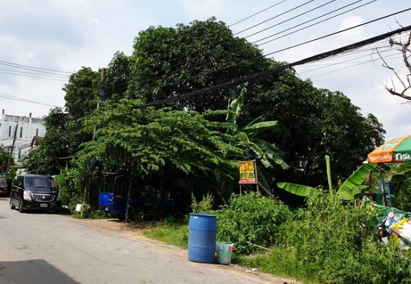 ขายที่ดิน 58 ตร.ว. หมู่บ้านคลองกุ่มนิเวศน์ ซอยเสรีไทย 41 บึงกุ่ม กรุงเทพมหานคร