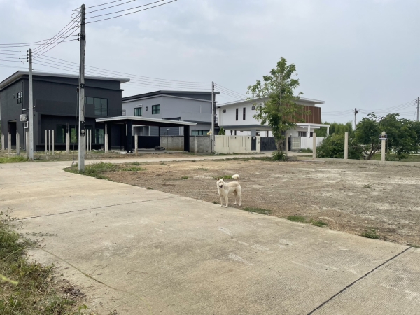 ขายที่ดินน้ำแพร่) 82 ตรว.1.55ล้าน 