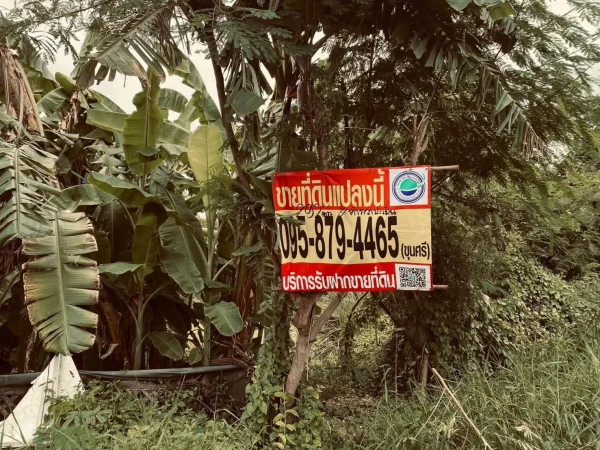 ขายถูกต่ำกว่าประเมิน 292 ตรว ติดถนนสาธารณะ คลอง 13 ฝั่งตะวันตก หนองจอก กทม.