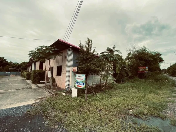 ขายถูกต่ำกว่าประเมิน 292 ตรว ติดถนนสาธารณะ คลอง 13 ฝั่งตะวันตก หนองจอก กทม.