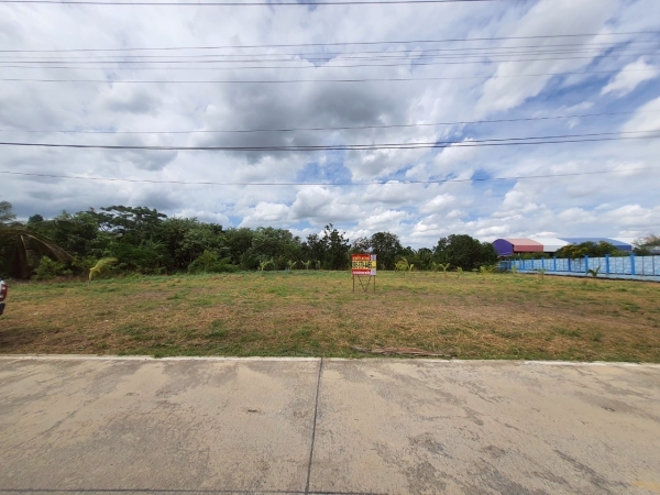 ขายถูกที่ดินหลังโรบินสันราชพฤกษ์ 437 ตรว ติดถนนคอนกรีตสาธารณะ ถมแล้ว ซ.เกษตรพัฒนา 2 อ.ปากเกร็ด จ.นนทบุรี