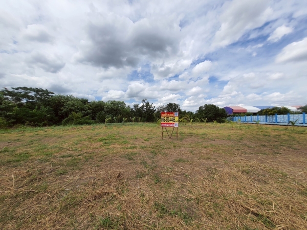 ขายถูกที่ดินหลังโรบินสันราชพฤกษ์ 437 ตรว ติดถนนคอนกรีตสาธารณะ ถมแล้ว ซ.เกษตรพัฒนา 2 อ.ปากเกร็ด จ.นนทบุรี