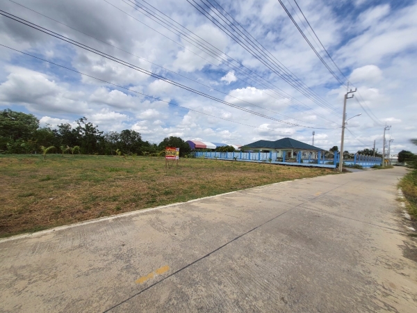 ขายถูกที่ดินหลังโรบินสันราชพฤกษ์ 437 ตรว ติดถนนคอนกรีตสาธารณะ ถมแล้ว ซ.เกษตรพัฒนา 2 อ.ปากเกร็ด จ.นนทบุรี