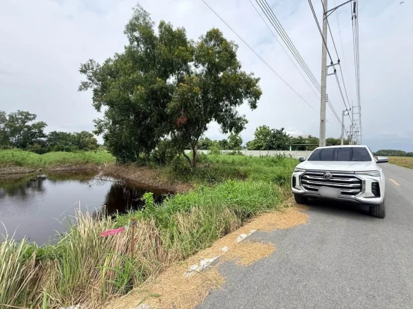 ขายด่วนที่ดิน 2 ไร่ ปากชอยมีเซเว่น ติดถนนลาดยาง ชอยคลองสี่ตะวันออก 54 คลองหลวง ปทุมธานี