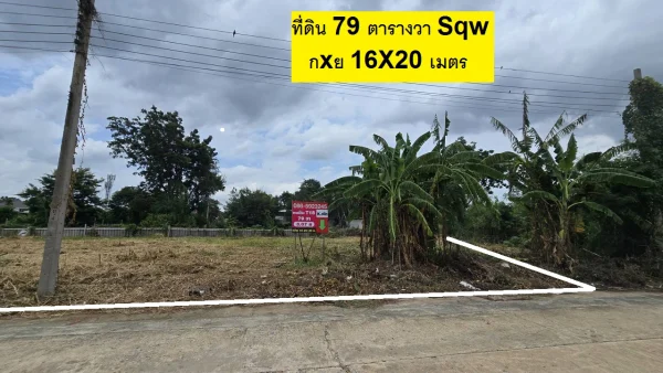 ขายที่ดินจัดสรร 156.1 ตารางวา SQW สวยสร้างบ้านใหญ่ ทำแปลงใหญ่ให้พิจารณา สวยมากๆ หมู่บ้านลานทอง ปากเกร็ด (จุด ติวานนท์-ปากเกร็ด 25) ใกล้แจ้งวัฒนะ เมืองทอง มลานทองซอย 36/1