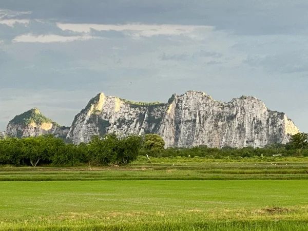 ขายสวนปฐวีกุล สวนมะพร้าวน้ำหอม 14 ไร่ 3 งาน 76 ตร.ว. พร้อมบ้าน 2 หลัง วิวเขางู ราชบุรี