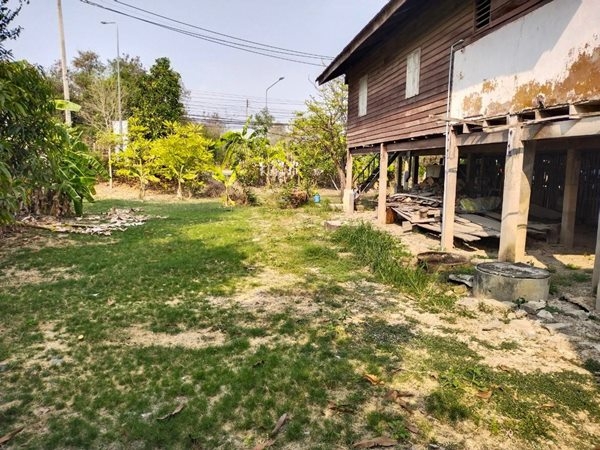 ขายที่ดิน 320 ตรว. ต.ท่าพี่เลี้ยง อ.เมือง จ.สุพรรณบุรี มีบ้านไม้ 2หลัง น้ำไฟสะดวก โทร 081-7957267