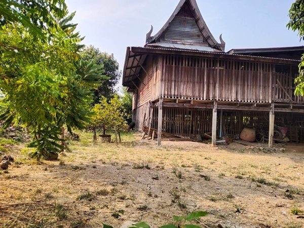 ขายที่ดิน 320 ตรว. ต.ท่าพี่เลี้ยง อ.เมือง จ.สุพรรณบุรี มีบ้านไม้ 2หลัง น้ำไฟสะดวก โทร 081-7957267