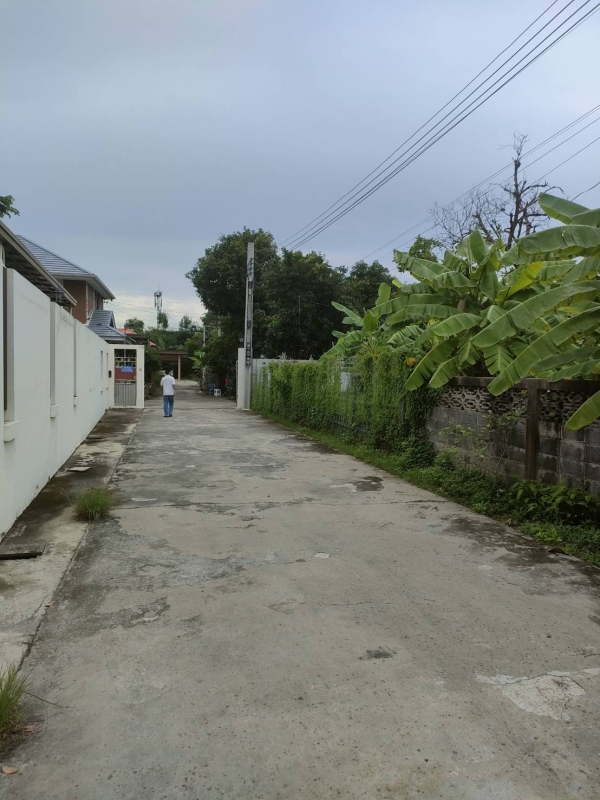 ขายที่ดินเปล่าถมแล้วในถนนลาดพร้าวซอย 48 กรุงเทพมหานคร