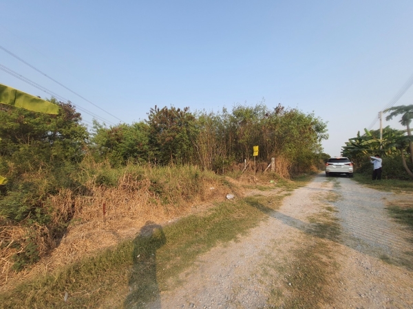 vายที่ดินนราภิรมย์ 105 ตารางวาติดถนนสาธารณะ ซอยพระมอพิสัย 4 อ.บางเลน จ.นครปฐม 