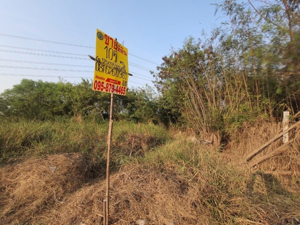 vายที่ดินนราภิรมย์ 105 ตารางวาติดถนนสาธารณะ ซอยพระมอพิสัย 4 อ.บางเลน จ.นครปฐม 