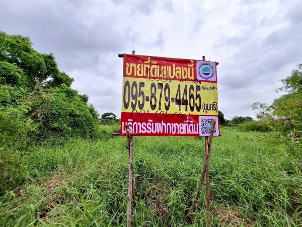 ขายด่วนที่สุด ที่ดินใกล้วัดธรรมกาย 108 ตรว ติดถนนคอนกรีตสาธารณะ ซ.คลองสาม 8/11-1 อ.คลองหลวง จ.ปทุมธานี