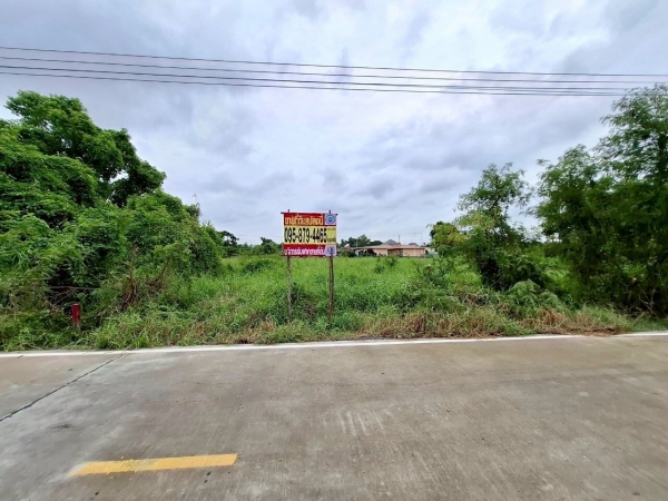 ขายด่วนที่สุด ที่ดินใกล้วัดธรรมกาย 108 ตรว ติดถนนคอนกรีตสาธารณะ ซ.คลองสาม 8/11-1 อ.คลองหลวง จ.ปทุมธานี