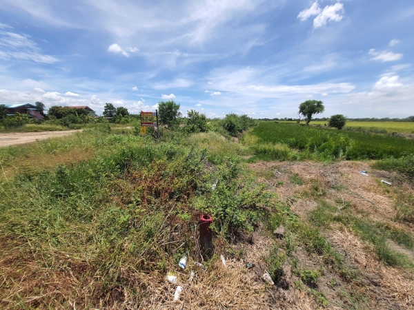 Vายด่วน ที่ดินใกล้วงแหวนกาญจนาฯ 9 ไร่เศษ ติดถนนคอนกรีตสาธารณะซ.คูขวาง 11 อ.ลาดหลุมแก้ว จ.ปทุมธานี