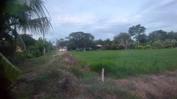 ขายด่วนที่ดิน 680 ตรว ติดถนนสาธารณะ 2 ด้าน แปลงมุม บ้านงิ้ว สามโคก ปทุมธานี