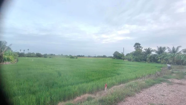 ขายด่วนที่ดิน 680 ตรว ติดถนนสาธารณะ 2 ด้าน แปลงมุม บ้านงิ้ว สามโคก ปทุมธานี