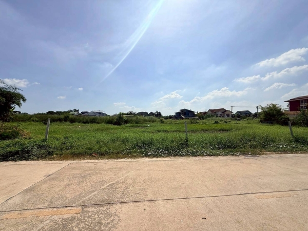 ขายด่วนที่ดิน 600 ตรว ติดถนนคอนกรีตสาธารณะ สุสวาส 22 ลำลูกกา ปทุมธานี