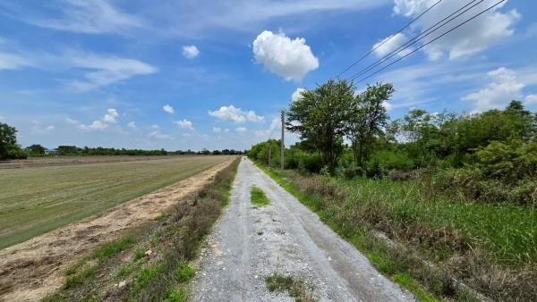 ขายถูกที่สุด ที่ดิน 1 ไร่  ติดถนนสาธารณะ เหมาะสร้าบ้านสวน ใกล้วัดราษฎร์นิยม อ.ไทรน้อย จ.นนทบุรี