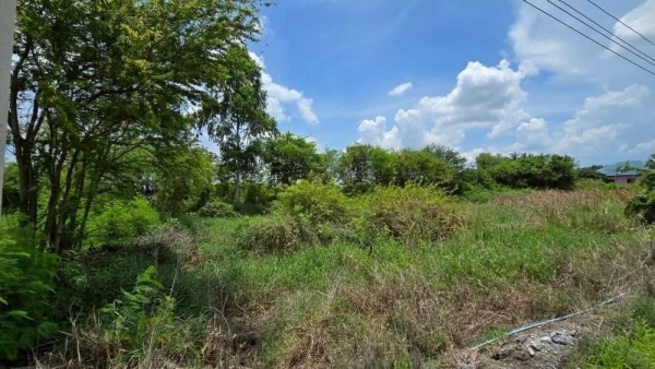 ขายถูกที่สุด ที่ดิน 1 ไร่  ติดถนนสาธารณะ เหมาะสร้าบ้านสวน ใกล้วัดราษฎร์นิยม อ.ไทรน้อย จ.นนทบุรี