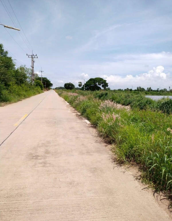 ขายที่บ่อปลา ติดคลอง 9 ถึง 30 ไร่ ติดถนน ต.ท่าข้าม อ.พนัสนิคม จ.ชลบุรี