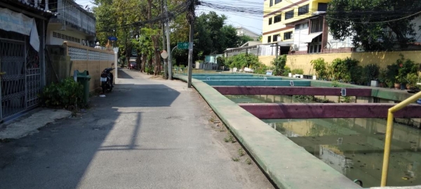 Sale land with area 60 sq.wah special price at Sukhumvit 54-50 entrance to soi BTS Onnut - Phrakhanong