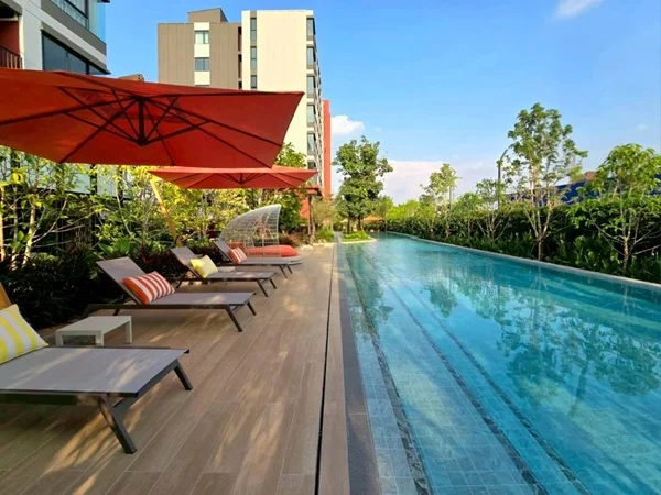 ขายคอนโด ใหม่ dcondo Vivid Rangsit ตรงข้าม ม.กรุงเทพ ข้ามสะพานลอยก็ถึงมหาลัย พร้อมอยู่ โทร 0616161426