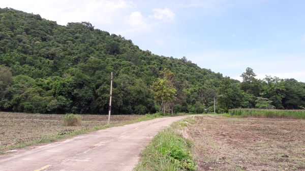 ขายที่ดิน 11.ไร่ 1 งาน 30 ตร.วา หลังติดเขา หน้าติดถนนคอนกรีต