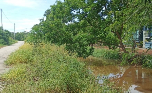  ขายที่ดินติดถนน ติดคลอง 9 ไร่เศษ ต.คลองบ้านโพธิ์ อ.บ้านโพธิ์ จ.ฉะเชิงเทรา
