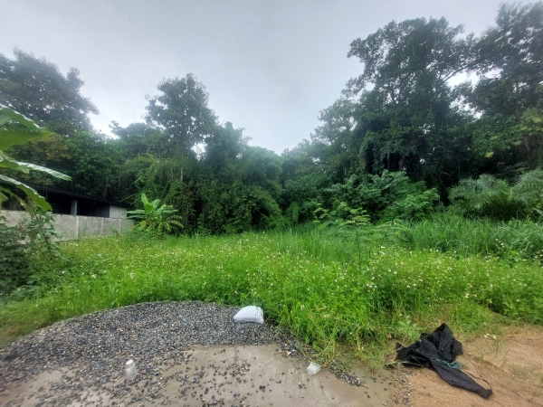 ขายที่ดินแปลงใหญ่ 3 ไร่ ทำเลทอง ต.หนองควาย อ.หางดง บรรยากาศรีสอร์ทส่วนตัว ใกล้สนามบิน