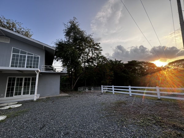 ขายบ้าน 118 ตรว 3.80ล้าน พร้อมผู้เช่าเดือนละ18,000บาท สันกำแพง