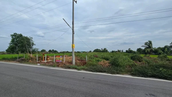 ขายด่วนที่ดินใกล้วัดไผ่หูช้าง 6-3-9 ไร่ ติดถนนลาดยางสาธารณะ บางเลน นครปฐม